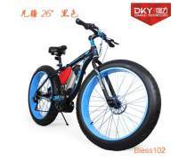 沙灘自行車(chē)產(chǎn)品庫(kù)