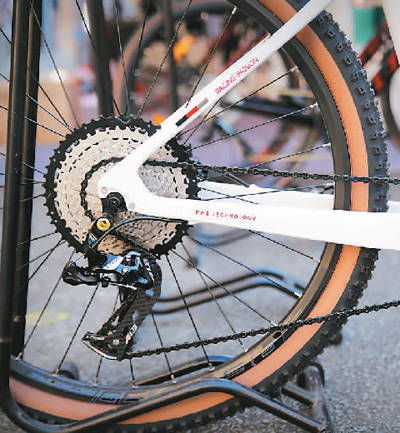 中國(guó)自行車,海外加速跑